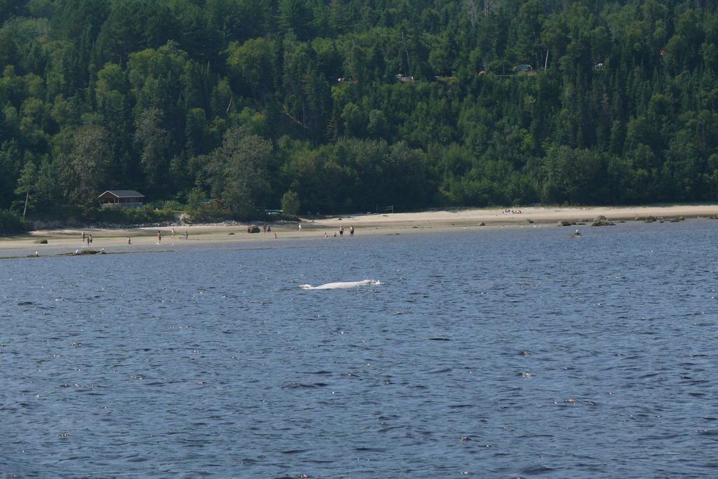 Riviere Petit Saguenay Villa Luaran gambar