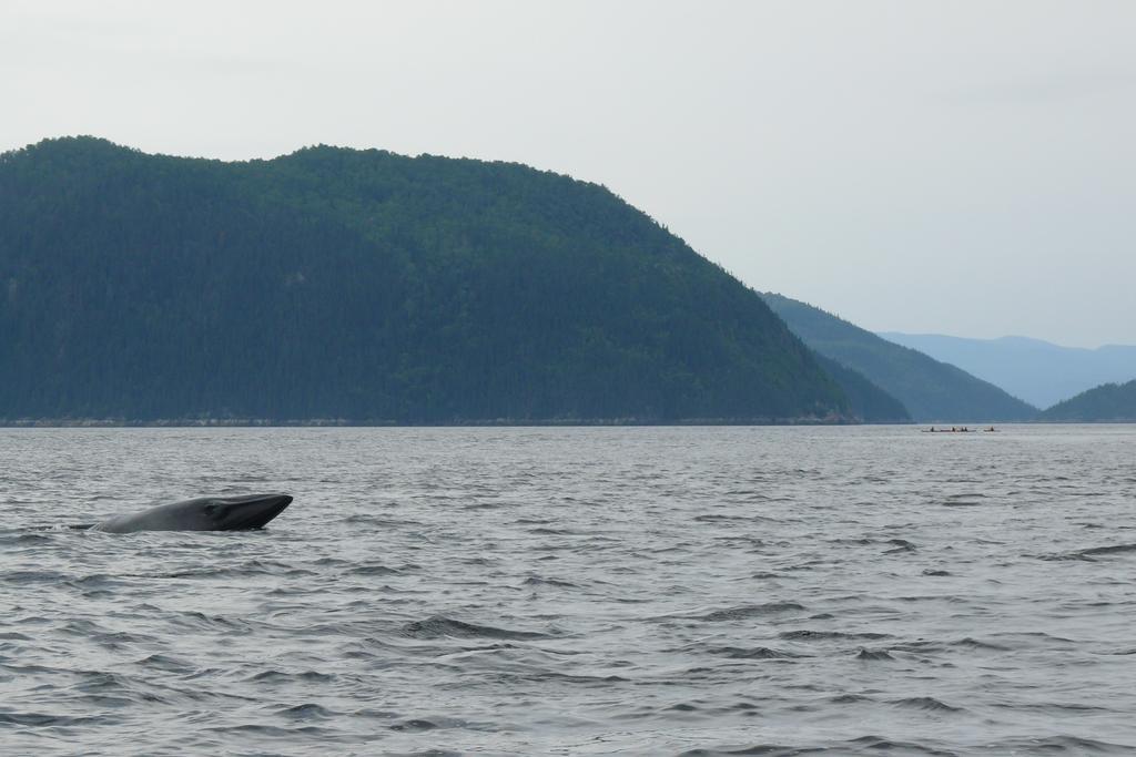 Riviere Petit Saguenay Villa Luaran gambar